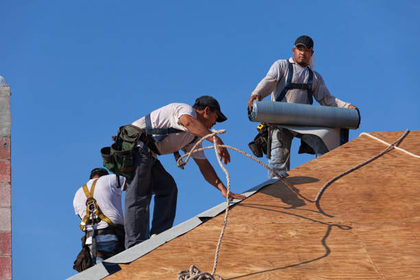Best Emergency Roof Repair  in Chesapeake, VA